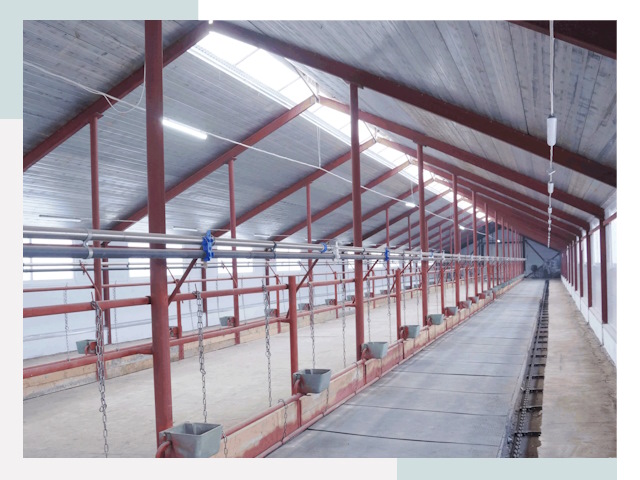 Строительство коровников в Кинешме от 606 руб.