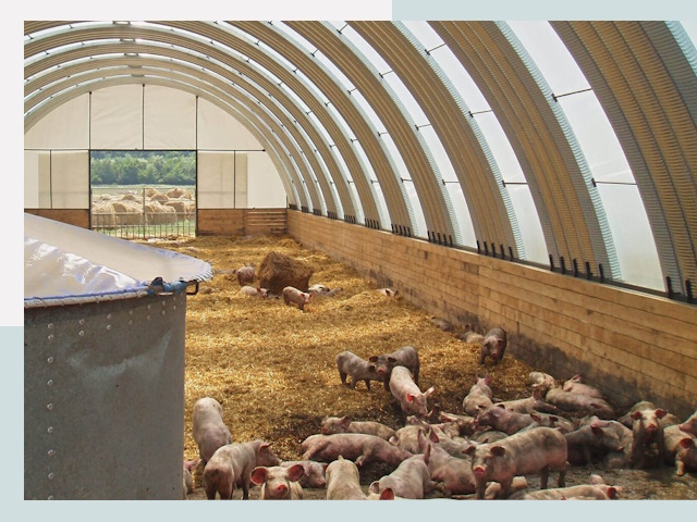 Строительство свинарников в Кинешме