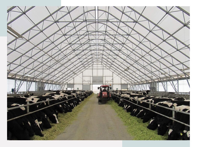 Тентовые коровники в Кинешме от 606 руб. - Надежно и доступно