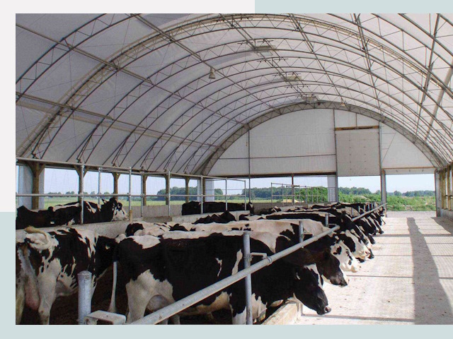 Тентовые коровники в Кинешме